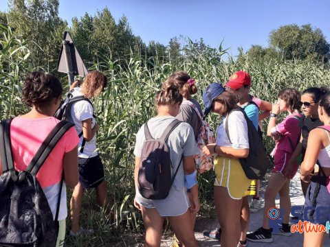 Citizen Science - Lab STEAM organizzato da ISCOM ER Rimini