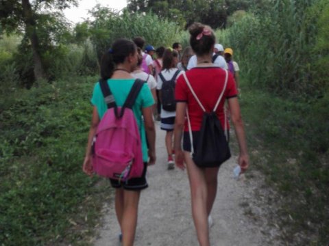 Laboratorio STEAM: professione natura - La guida ambientale escursionistica