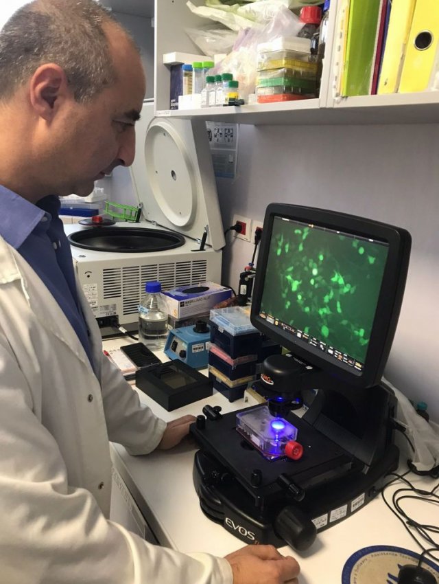 Ricercatore in ambito oncologico