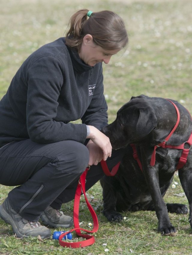 Educatore cinofilo