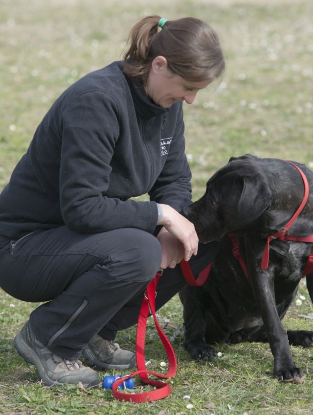 Come si diventa un educatore cinofilo